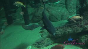 Serena Hill Norcal Part 7