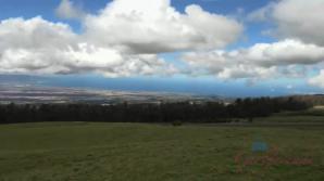 Haleakala and the nude beach with Winter!